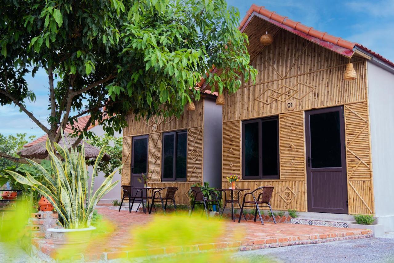 נין בין Tam Coc Cat Luong Homestay מראה חיצוני תמונה