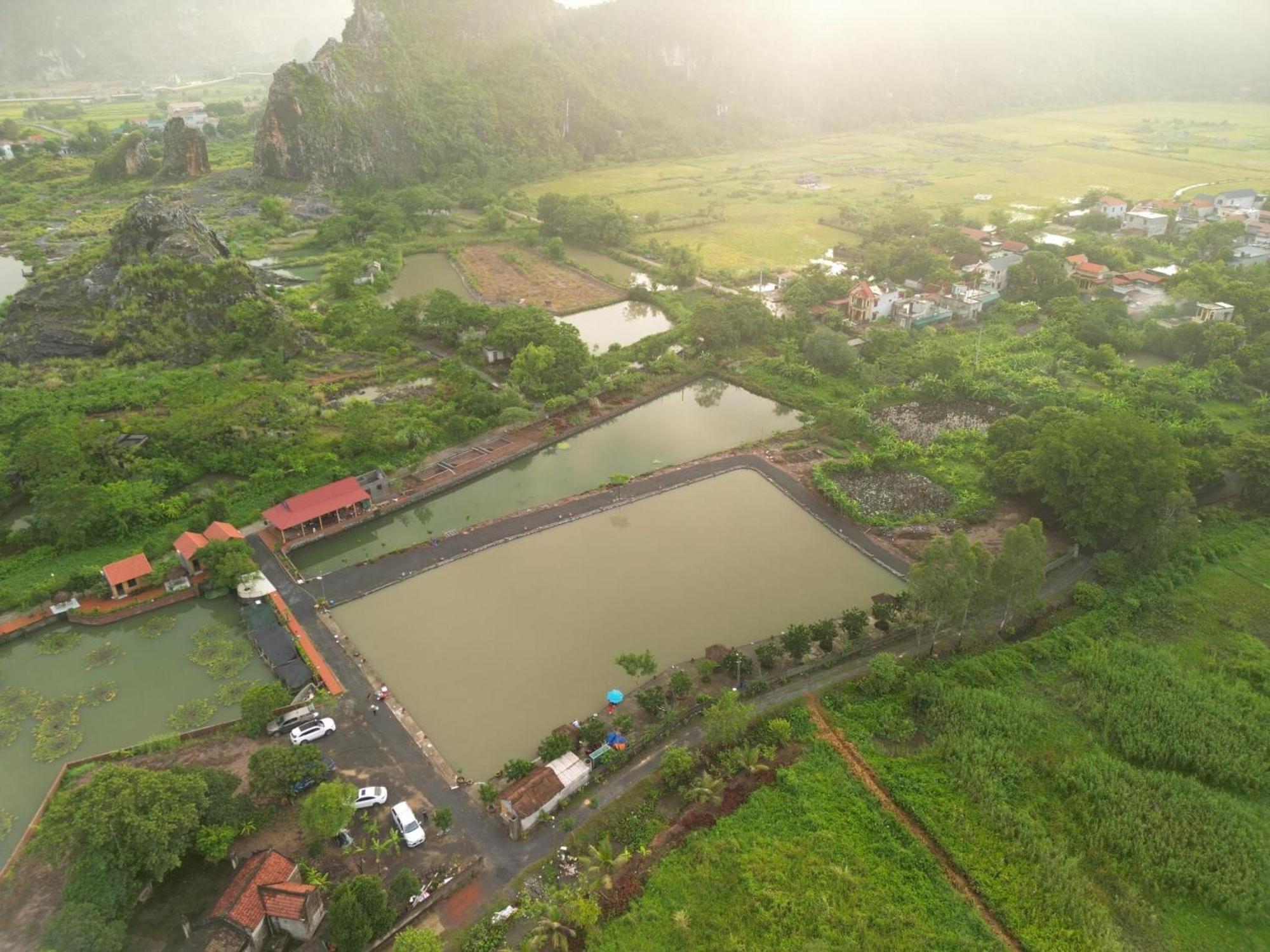 נין בין Tam Coc Cat Luong Homestay מראה חיצוני תמונה