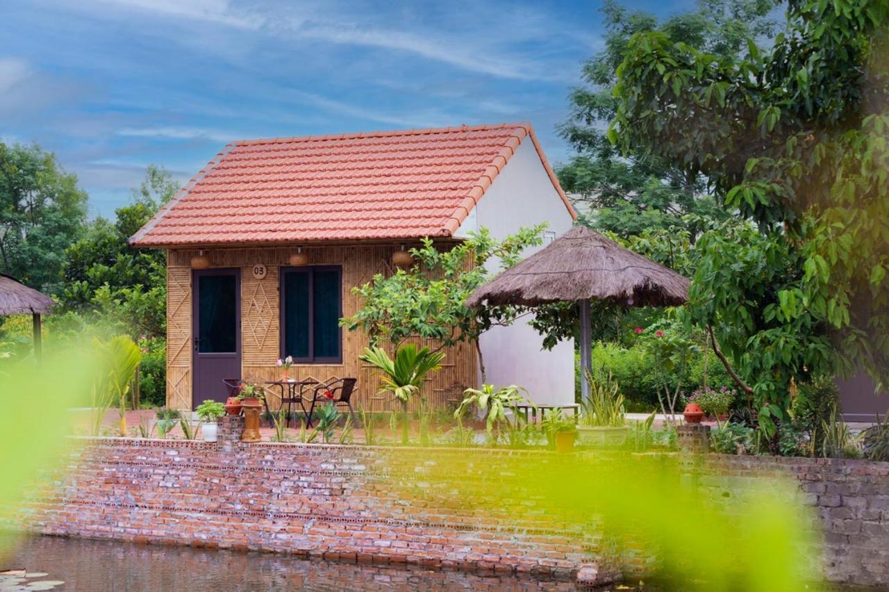 נין בין Tam Coc Cat Luong Homestay מראה חיצוני תמונה